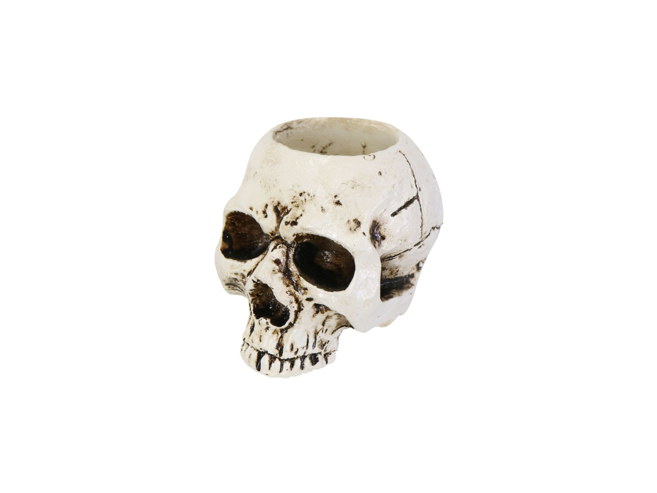 Halloween Skull Tea Candle Holder