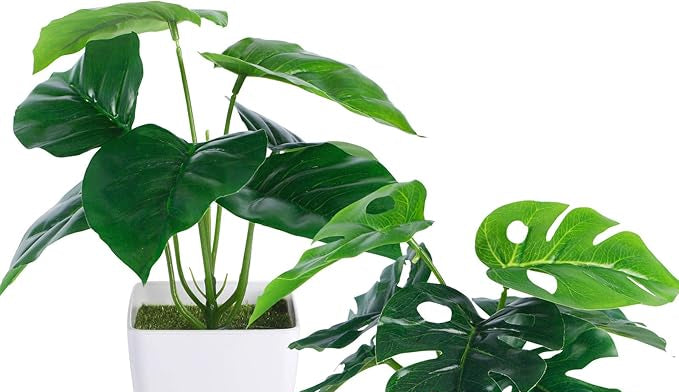 Artificial plant | Monstera