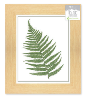 Norfolk Glass Frame Beech 8X10