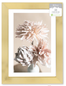 Buckingham Frame | Gold