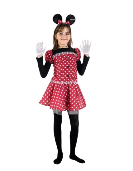 Girl Mouse Costume (size 5-6 years)