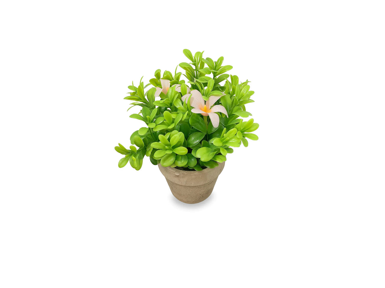 Artificial Small Mangolia Pot | 18cm