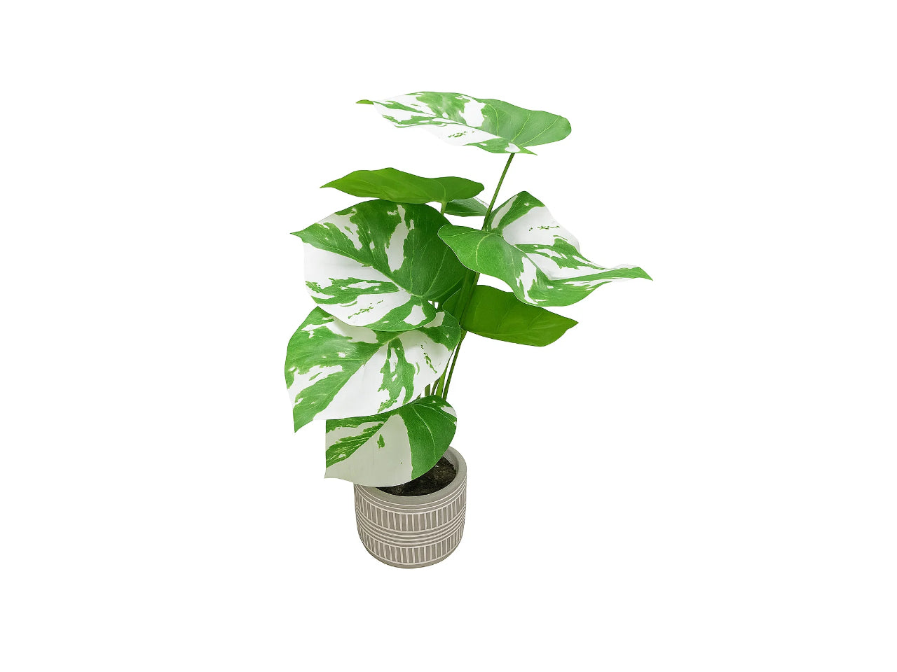 Artificial Spotted Taro With Striped Pot Base  | 40cm