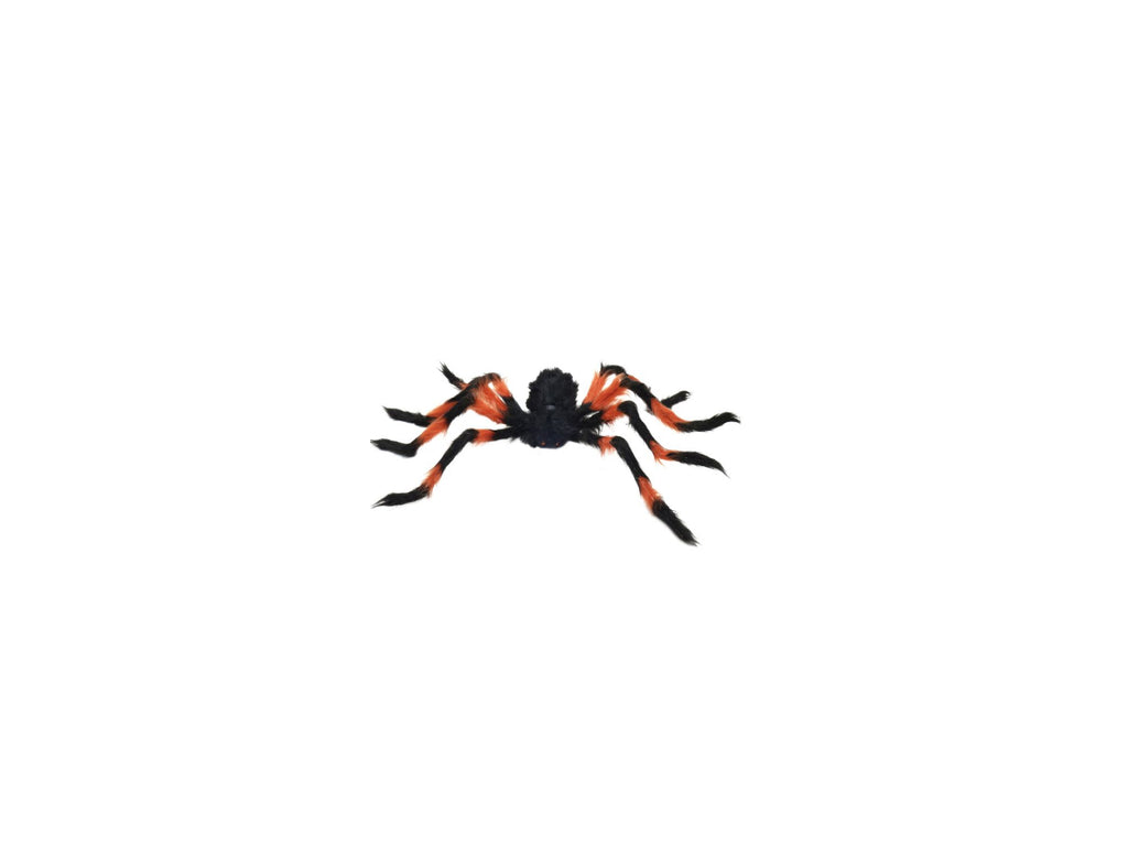 Colourful Hairy Spider | 90cm