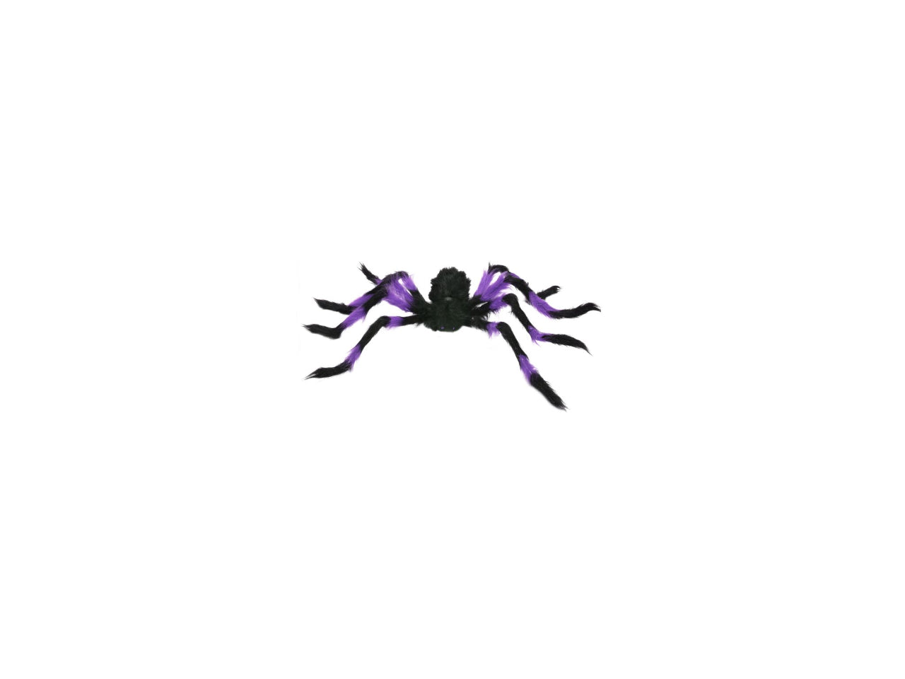 Colourful Hairy Spider | 90cm