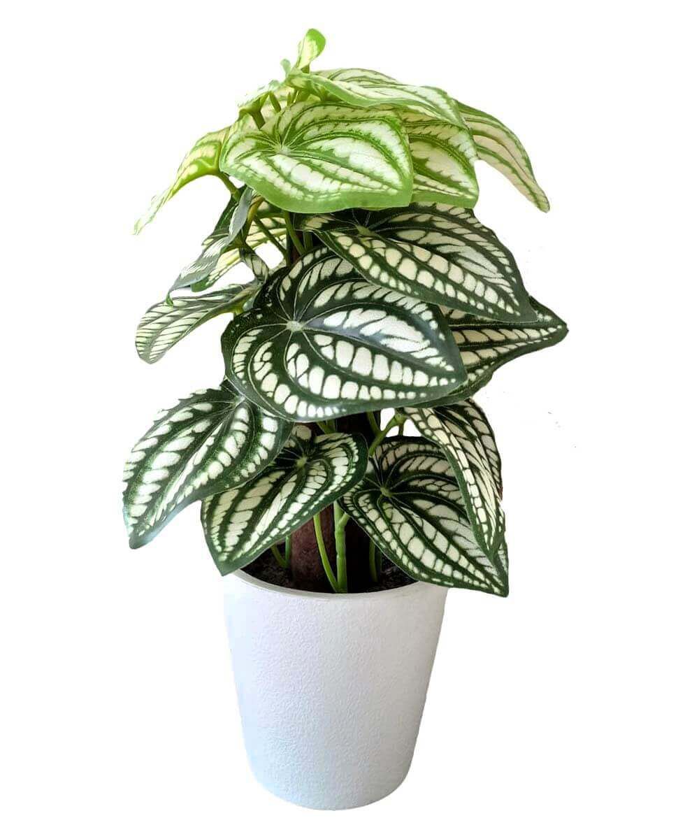 Artificial plant