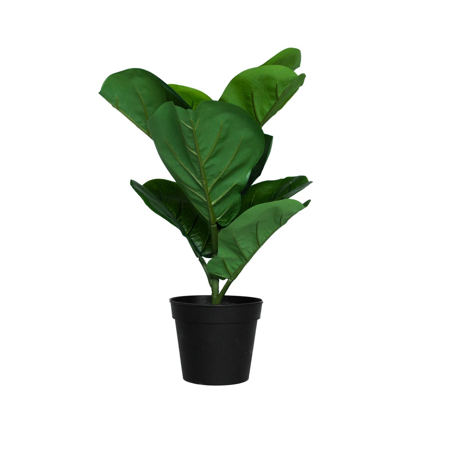 Artificial Plant | Ficus