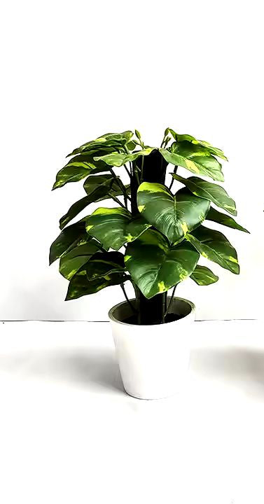 Artificial plant | Taro Leaves