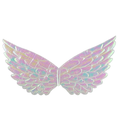 Angel Wings | Pack of 2