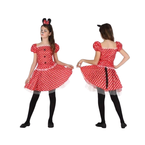 Girl Mouse Costume | size 3-4 years