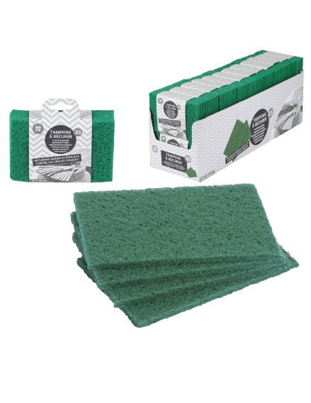 Scouring Sponge | Set of 5