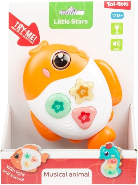 Baby Music | Animal Fish