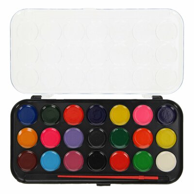 Paint & Brush Set