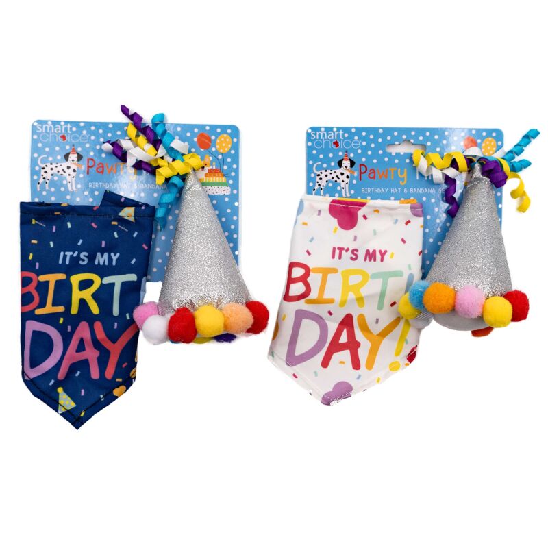 Birthday Bandana & Party Hat
